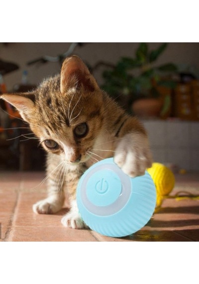 10 Adet İnteraktif Kedi Köpek Şarjlı Oyun Topu