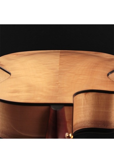Cort Ga-my Bevel Nat Grand Auditorium Elektro Akustik Gitar Prof