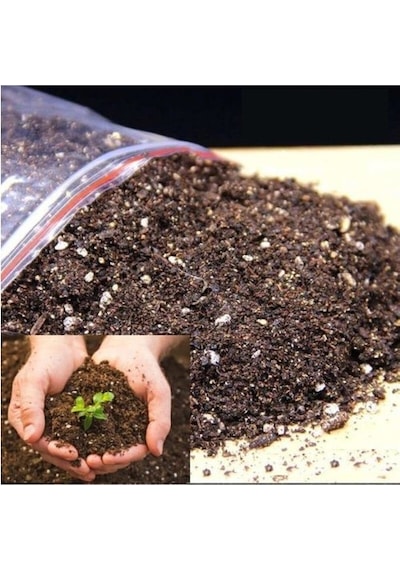 Küpeli Çiçeği Toprağı Torfu 3 Kğ Özel Karışım Bitki Toprağı