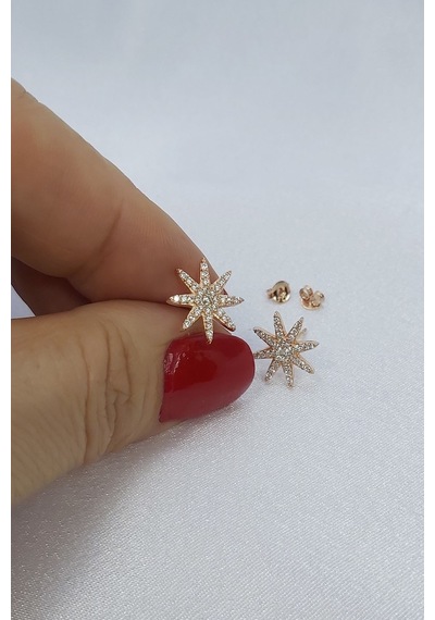 925 Ayar Rose Yıldız Gümüş Küpe
