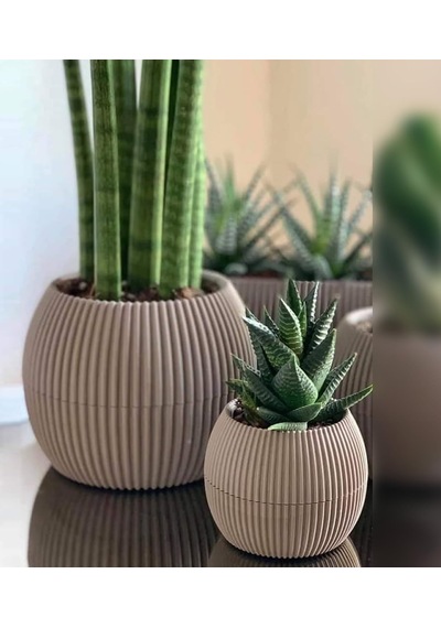 Mercan Yuvarlak Saksı Seti 0,35 Litre + 1,2 Litre, İç Mekan - Dış Mekan 2li Ekonomik Tabaklı Plastik Saksı Set Kahve Renk 001