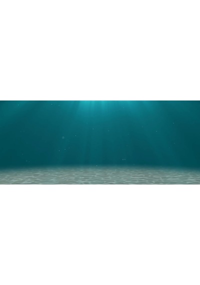 Kanki Pet 155 cmKP1556506 Akvaryum Arka Fon Yapıştırma  155x65 cm