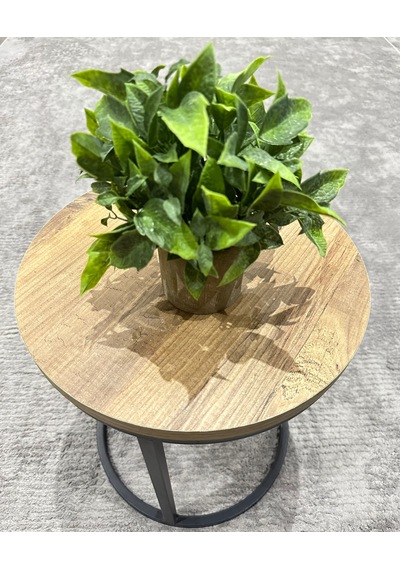 Dekoratif Eskitme Gri Saksıda Gerçekçi Yapay Yeşil Bitki - Modern Masa Ve Raf Çiçeği 24x18 Cm Yeşil