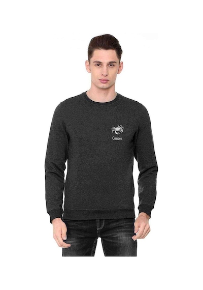 Yengeç Burcu Baskılı Füme Erkek Örme Sweatshirt