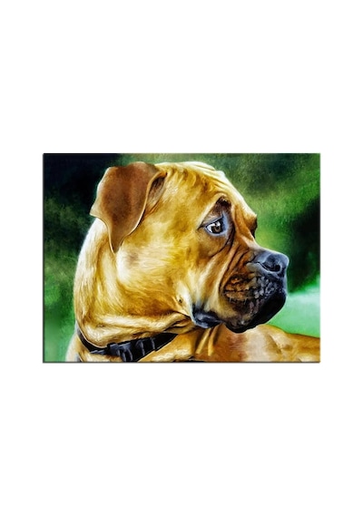 Talya Koruma Köpeği Buldog Kanvas Tablosu. Köpek Kuş At Aslan, Eski Harita, Oldmap, Antik Mısır, Uzay, New York Atatürk Dekoratif Duvar Pano 50x35 Talya Koruma Köpeği Buldog Kanvas Tablosu. Köpek Kuş At Aslan, Eski Harita, Oldmap, Antik Mısır, Uzay, New York Atatürk Dekoratif Duvar Pano 50x35