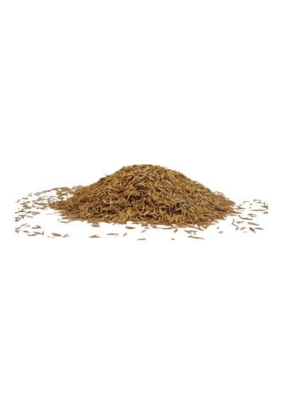 7 Günde Çimlenen Üzerine Basılabilir 6'lı Karışım Çim Tohumu 1 Kg