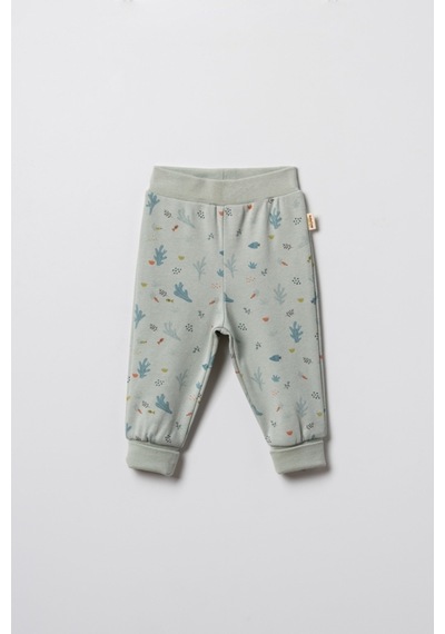 Babycosy Organic Wear %100 Organik Pamuk,2 Li Bebek Alt Pantolon Seti,yenidoğan Ve Bebek Serisi,unisex,patiksiz Krem Babycosy Organic Wear %100 Organik Pamuk,2 Li Bebek Alt Pantolon Seti,yenidoğan Ve Bebek Serisi,unisex,patiksiz Krem