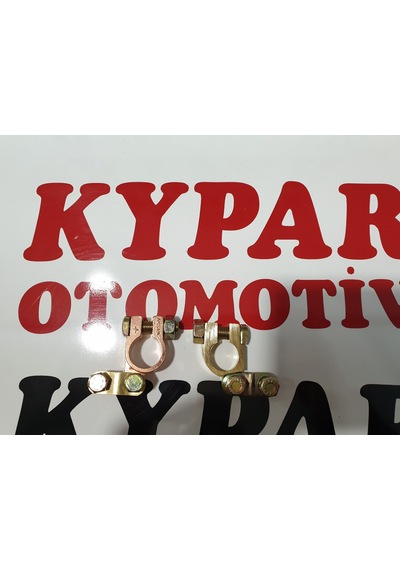 Artı ve Eksi Takım Kutup Başı