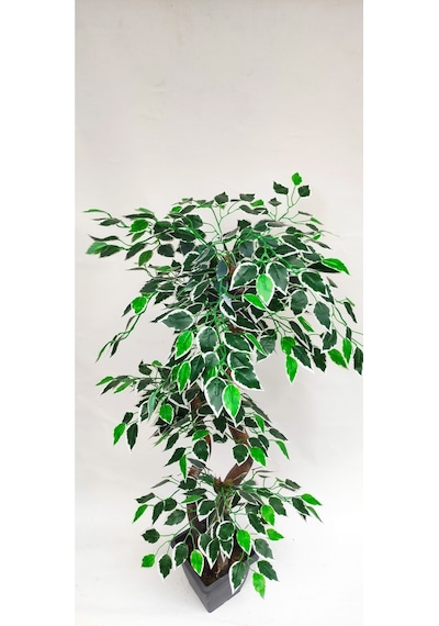 Rüzgar Yapay Çiçeçilik 150 Cm Ficus Ağacı Yeşil