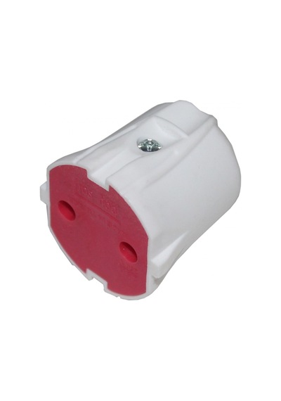 Topraksız Dişi Fiş Mimoza 324005