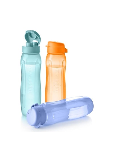 Eco Şişe 3'lü Set Suluk Ve Matara 750 Ml Çok Renkli