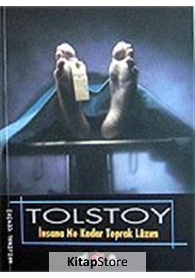 İnsana Ne Kadar Toprak Lazım - Lev Nikolayeviç Tolstoy - Nar Yayınları