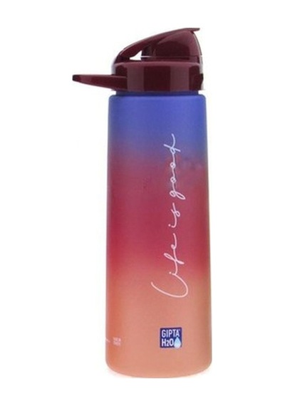 Gıpta Tritan Renkli Matara 730 Ml Pembe