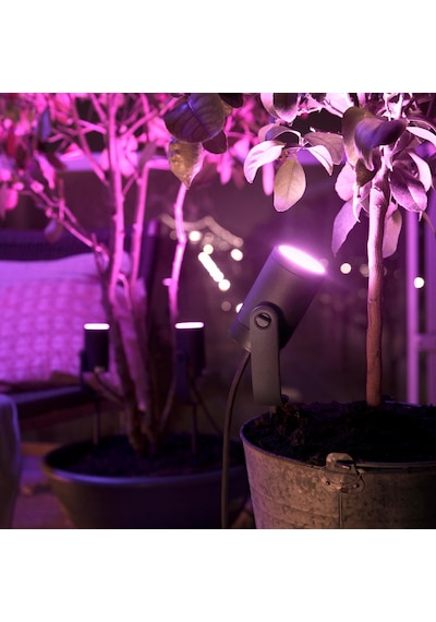 Philips Hue Lily Outdoor Akıllı Renkli Bahçe Spotu 1x8W, Güç Adaptörü Dahildir