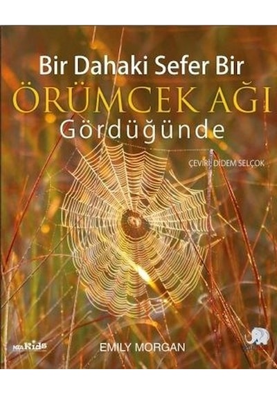 Bir Dahaki Sefer Bir Örümcek Ağı Gördüğünde - Emily Morgan - Nobel Çocuk