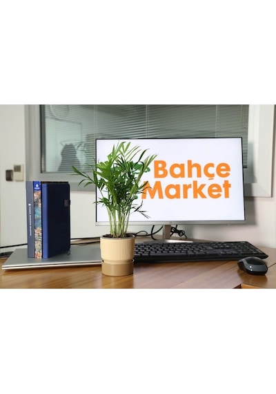 Çizgi Desenli Saksı Tabaklı Mint 0,4 Lt 90 90 Mm 99321357