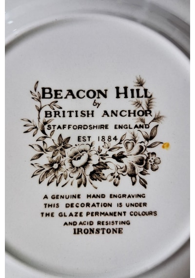Beacon Hill İngiliz Vintage Pasta Tabağı 17.5cm