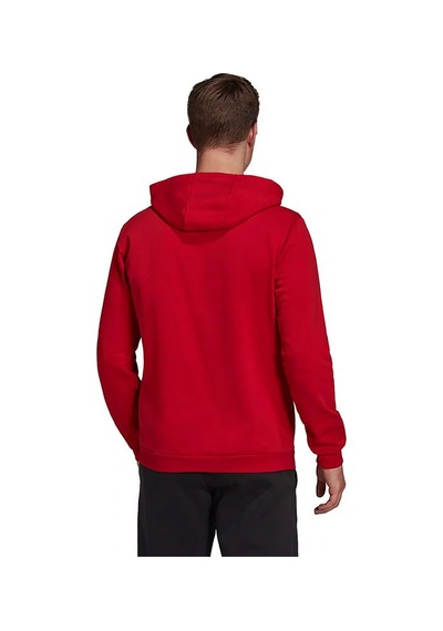 Adidas Tepore Ent22 Hoody Null