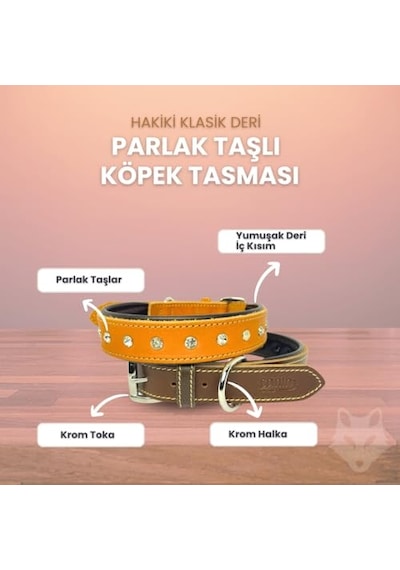 100 Gr Gammarus Kaplumbağa Yemi