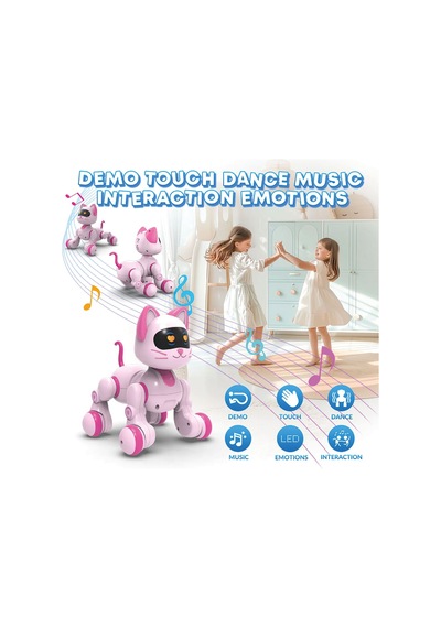 Uzaktan Kumandalı Ses Kontrollü Programlanabilir Akıllı Robot Kedi