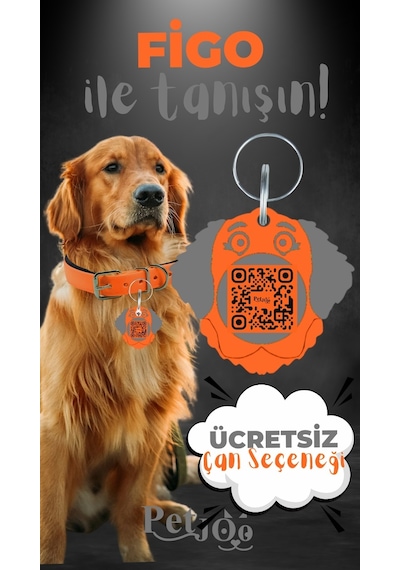 Petjoo 27.Figo Gri-Turuncu Qr'lı Köpek Künyesi