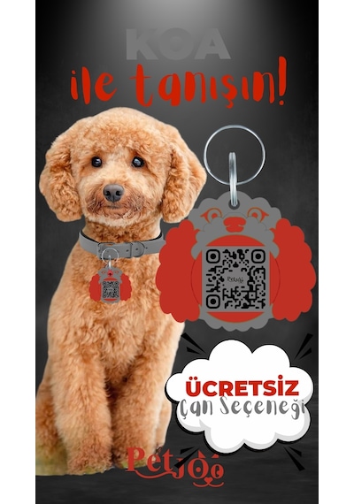 Petjoo 14.Koa Kırmızı-Gri Qr'lı Köpek Künyesi