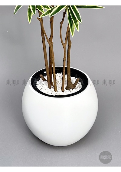 Biçiçek Yapay Dragon Bi̇tki̇si̇ 160 Cm Beyaz Küre Saksıda Alaca Yaprak