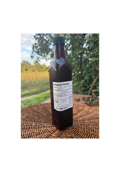 Fermente Pancar Pancar Kvass