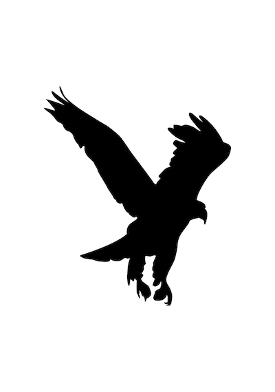 Folyo Sticker Kartal Adkpquy621 50cm Uzunluk Siyah