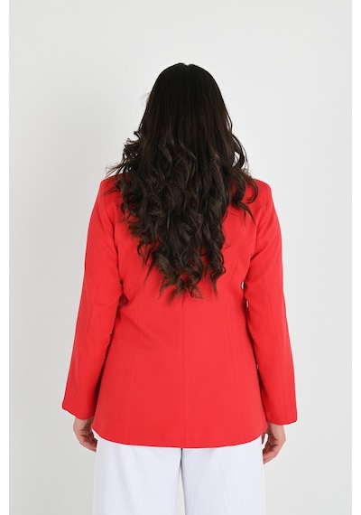 Kadın Astarlı Büyük Beden Blazer Ceket 0101-1 001