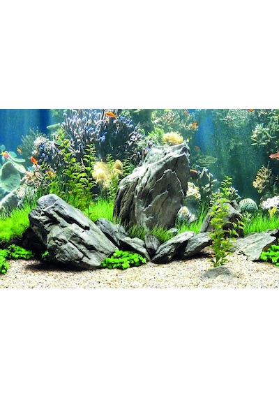Kanki Pet Kp7045034 Akvaryum Arka Fon Yapıştırma 70 X 45 Cm