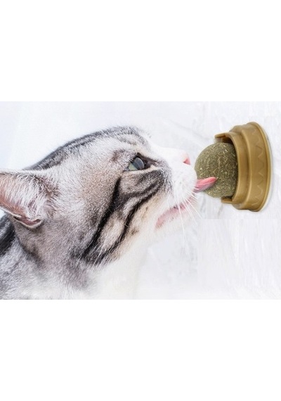 Zensaas41 Kedi Otu Oyun Topu Cat Mint Zensaa56