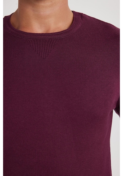 Tudors Erkek Standart Fit Normal Kesim Bisiklet Yaka Bordo Triko Kazak-35134 Bordo