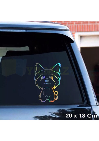 Köpek Hologram Araba Oto Sticker Yapıştırma Etiket Çıkartma