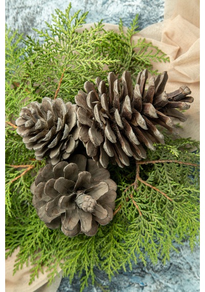 Natural Kozalak