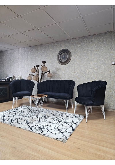 Zafir Beyaz Boyalı Tel Ayak Papatya Çay Seti Koltuk Takımı , Balkon, Salon, Ofis, Cafe Koltuk Takımı Siyah Zafir Beyaz Boyalı Tel Ayak Papatya Çay Seti Koltuk Takımı , Balkon, Salon, Ofis, Cafe Koltuk Takımı Siyah