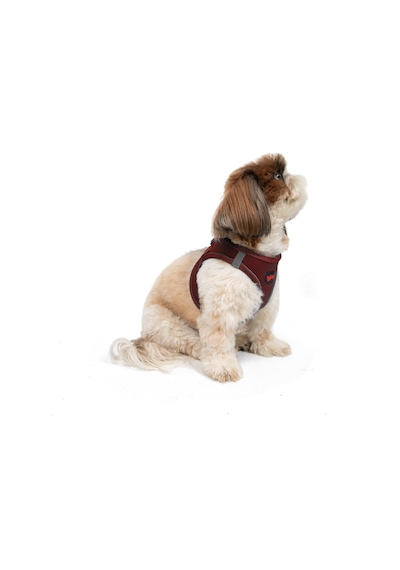 Air-Mesh Küçük ve Orta Irk Kedi Köpek Göğüs Tasması - Yumuşak, Nefes Alabilir, Dayanıklı Bordo M