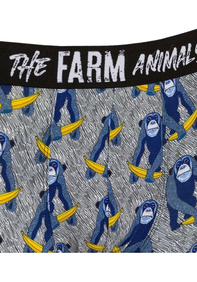 Farm Animals Monkey Banana Bue Desenli Boxer Çok Renkli