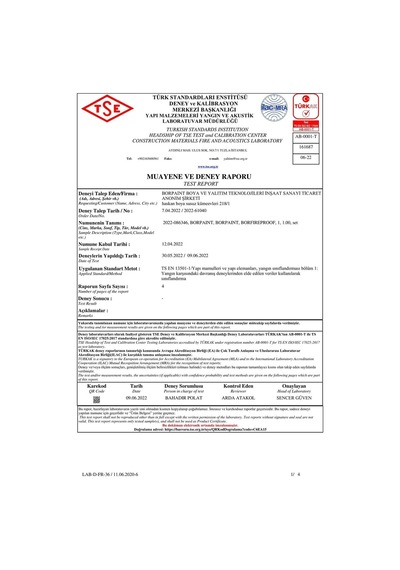 Borfıreproof Yangına Dayanıklı Boya 4 Kg Diğer
