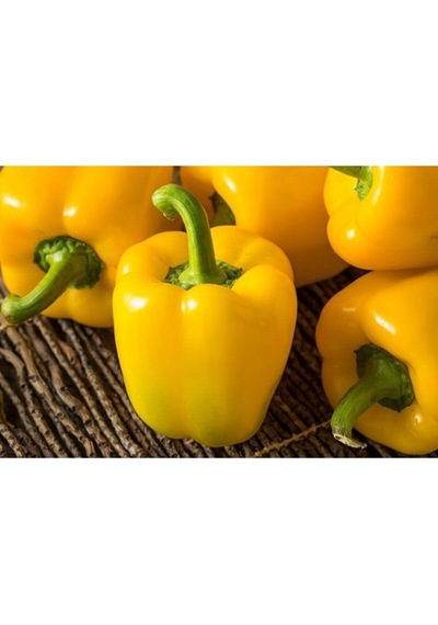 Mix Sarı Dolma Biber 10 Tohum Kornişon Hıyar 100 Tohum Bahçevilya