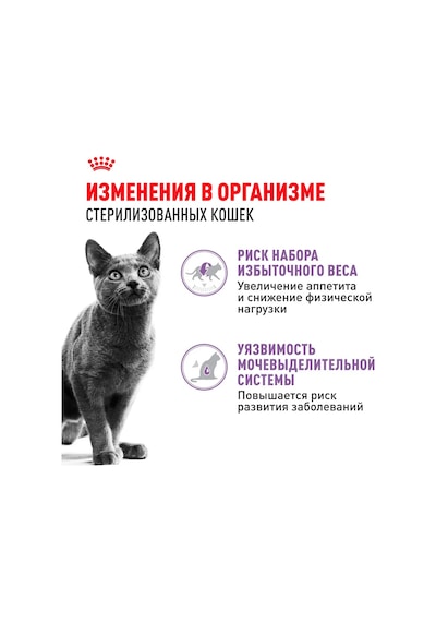 Royal Canin Sterilised Sterilised Katlar İçin Jöleli Yaş Kedi Maması 85 Gr 10'lu 238661140