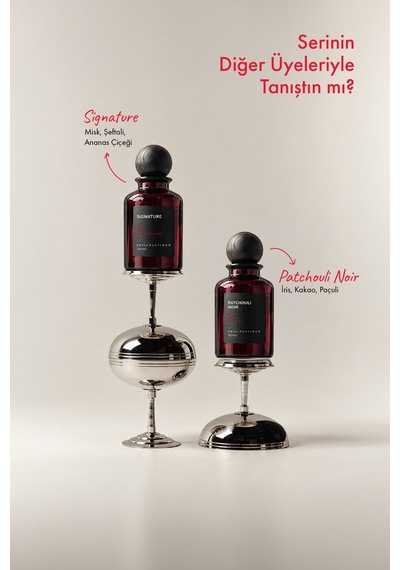 Warm Irıs 100 Ml Nıche Parfüm Odunsu - Oryantal