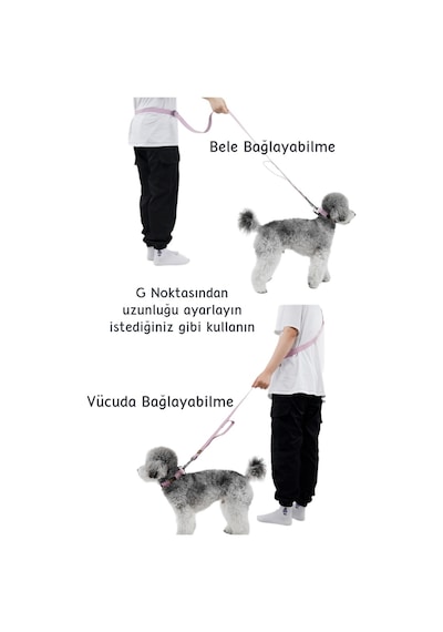 Interlaken Su Geçirmez Güçlü Kancalı Sarı Köpek Gezdirme Kayışı Sarı 2 M Sarı