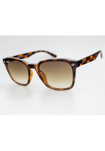 Ray Ban Rb 4392 710/13 66-17 Unisex Güneş Gözlüğü Çok Renkli