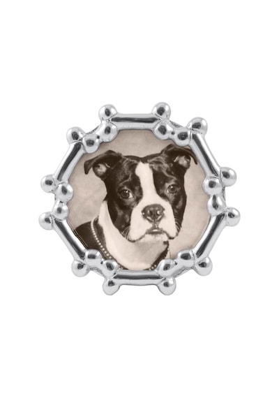 Köpek Kemik Yuvarlak Çerçeve Gümüş 4 X 6