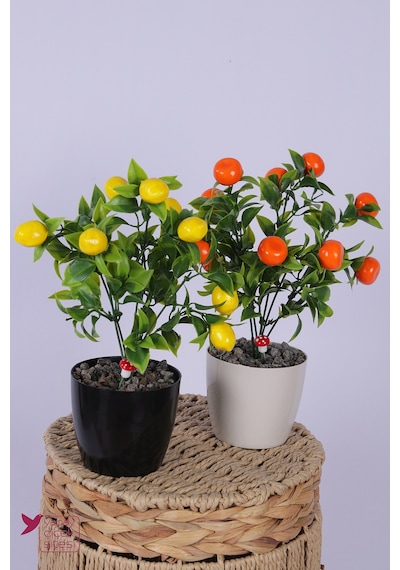 Yapay Çiçek Sitesi Plastik Saksıda Yapay Mini Limon & Mandalina Tanzimi 2 Li Set 33 Cm Çok Renkli