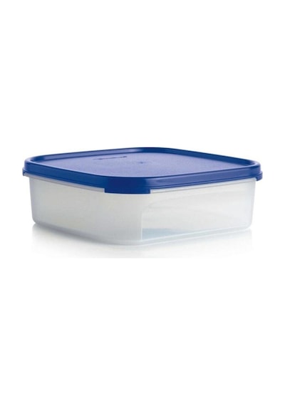 Tupperware Oval Modüler Saklama Kabı 12 L Çok Renkli