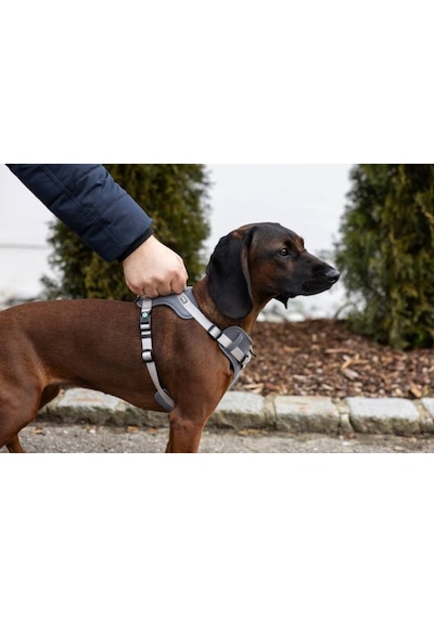 Y Tipi Spor Köpek Göğüs Tasması 20 Mm 38-62 / 58-74 Cm - Fitty Serisi - M Gri