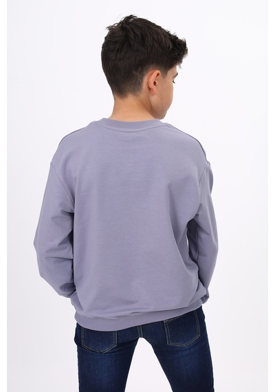 Toontoy Erkek Çocuk Baskılı Sweatshirt Koyu Gri