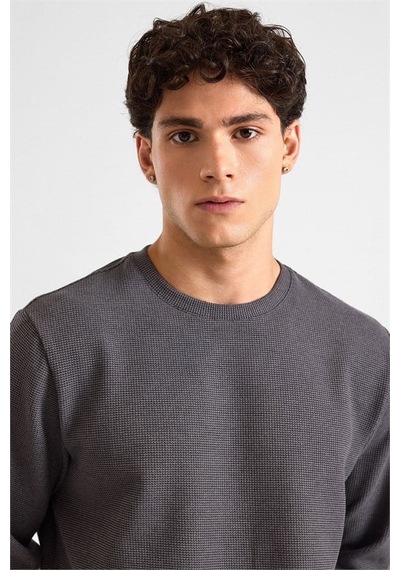 Süvari Gri Regular Melanjlı Baskısız Waffle Bisiklet Yaka Cepsiz Düz Sweatshirt Sw2013700027-s05 Süvari Gri Regular Melanjlı Baskısız Waffle Bisiklet Yaka Cepsiz Düz Sweatshirt Sw2013700027-s05